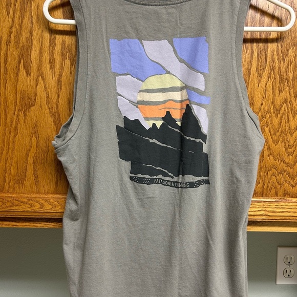 Patagonia Tops - Patagonia Gray Sleeveless Top with Mountain Graphic